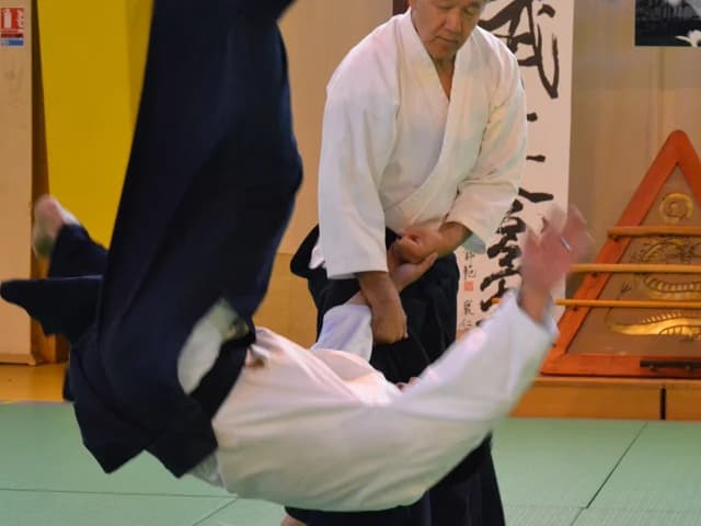 Stage International d'Aikido du Vigan, dirigé par Hiroshi IKEDA Shihan, organisé par Aïkido Harmonie
